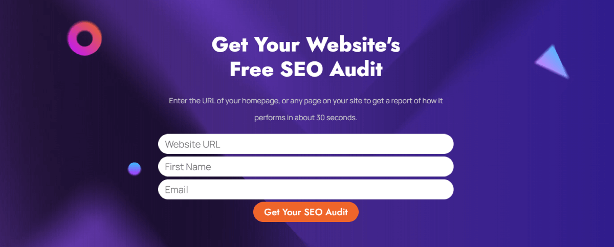 Website audit example